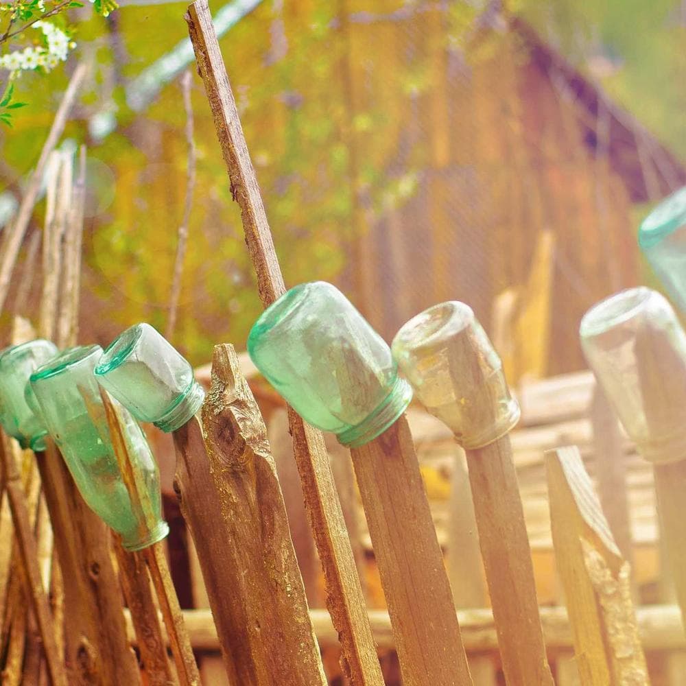 Bức tường ảnh